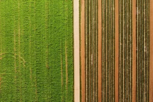 CO₂-neutrale Transporte (Elektro, HVO100, Wasserstoff)